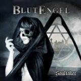 BLUTENGEL