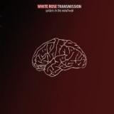 WHITE ROSE TRANSMISSION