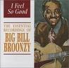 BROONZY BIG BILL