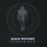 BLACK MUSTANG