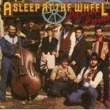 ASLEEP AT THE WHEEL