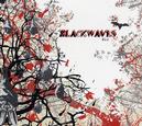 BLACKWAVES