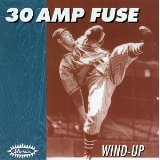 THIRTY AMP FUSE