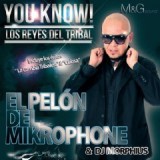 PELON DEL MIKROPHONE