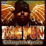 BIG PUN