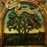 STEELEYE SPAN