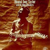 TAYLOR HOUND DOG