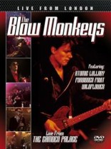 BLOW MONKEYS