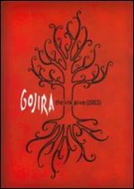 GOJIRA