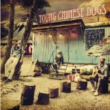 YOUNG CHINESE DOGS