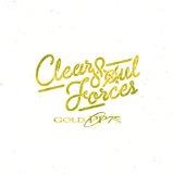 CLEAR SOUL FORCES