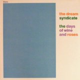 DREAM SYNDICATE