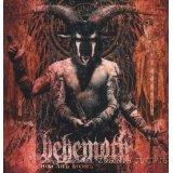 BEHEMOTH