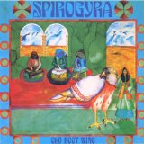 SPIROGYRA