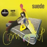 SUEDE