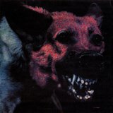 PROTOMARTYR