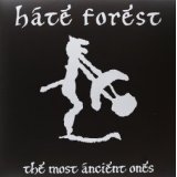 HATE FOREST