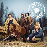 STEVE N SEAGULLS