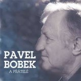 BOBEK PAVEL