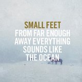 SMALL FEET