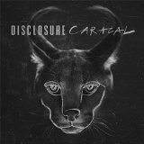 DISCLOSURE