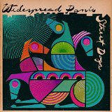 WIDESPREAD PANIC