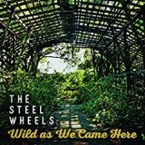 STEEL WHEELS