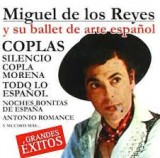 REYES MIGUEL DE LOS