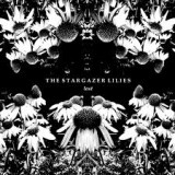 STARGAZER LILIES