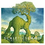 SCALE THE SUMMIT