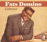 DOMINO FATS