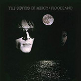 SISTERS OF MERCY