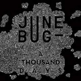 JUNE BUG