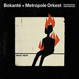 BOKANTE & METROPOLE ORKEST & JULES BUCKLEY