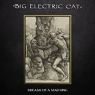 BIG ELECTRIC CAT