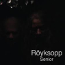 ROYKSOPP