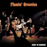 FLAMIN GROOVIES