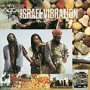 ISRAEL VIBRATION