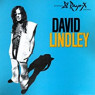 LINDLEY DAVID