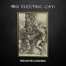 BIG ELECTRIC CAT