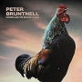 BRUNTNELL PETER