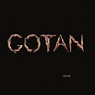 GOTAN PROJECT