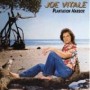 VITALE JOE