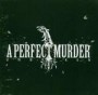 A PERFECT MURDER