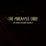 PINEAPPLE THIEF