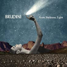 BRUDINI