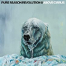 PURE REASON REVOLUTION