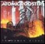 ATOMIC ROOSTER