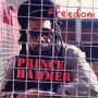 PRINCE HAMMER