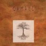 CAMAEL